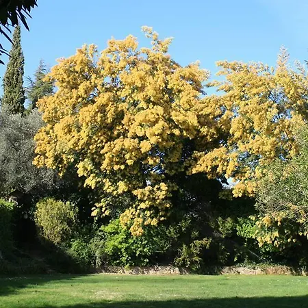 Rancho La Herradura 펜션 *