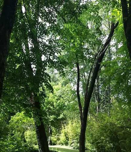 펜션 Rancho La Herradura