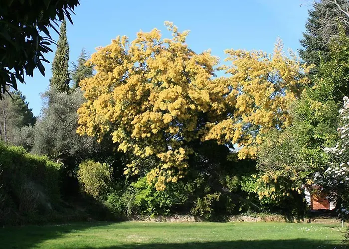 Rancho La Herradura 펜션 *